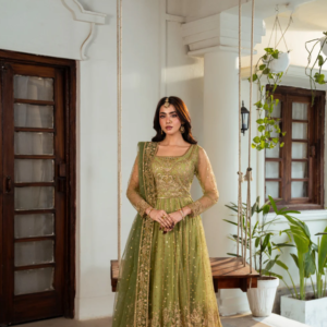 Olive Color Lehenga