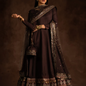 Merron Color Lehenga